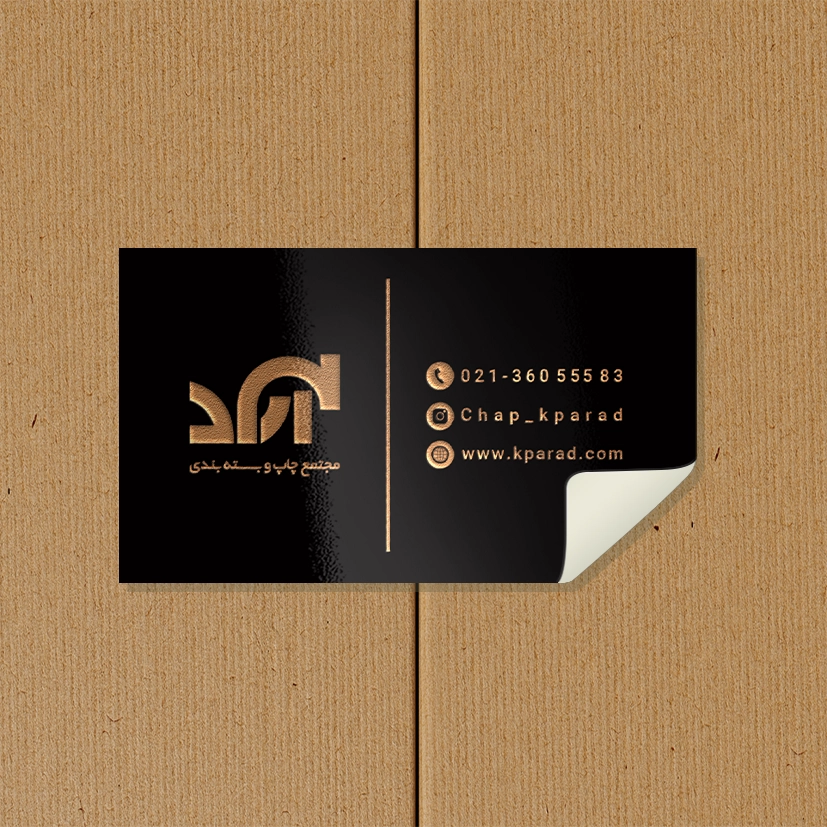 /Upload/TitleSampleDetails/495f76f325fe4d1c.webp